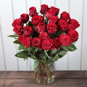 12 Red Roses